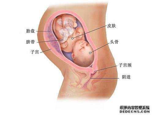 南京代孕生双胞胎-代孕想要孩子-南京代孕什么价格