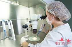 南京包成功包男孩，试管婴儿胚胎养囊胚要求有哪些？
