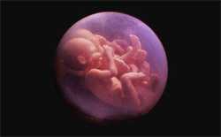 南京供卵，20岁女孩确诊卵巢早衰！医生提醒：这些原因才是罪魁祸首