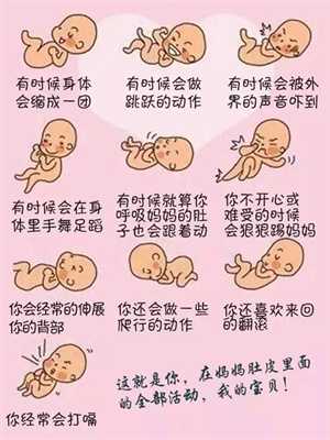 南京代怀孕，北京男职工生育保险报销条件