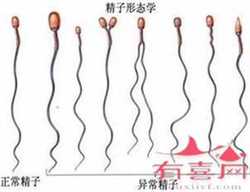 南京借卵代怀，来月经吃什么能让血多