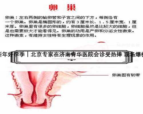 新年好孕季｜北京专家在济南青华医院会诊受热捧 现场爆棚
